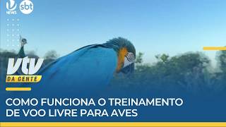 NATUREZA | Como funciona o treinamento de voo livre para aves | VTV da Gente