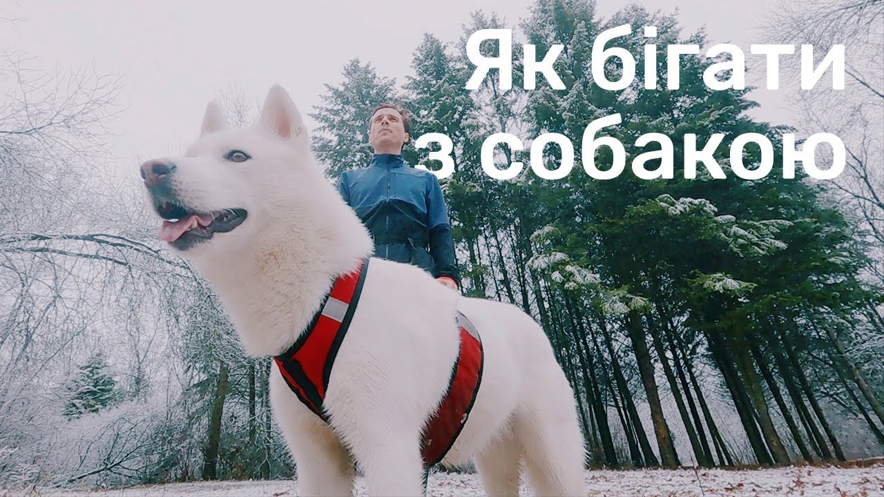 YouTube video preview