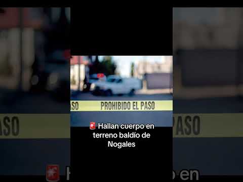 Hallan cuerpo en descomposición en la colonia Rosario