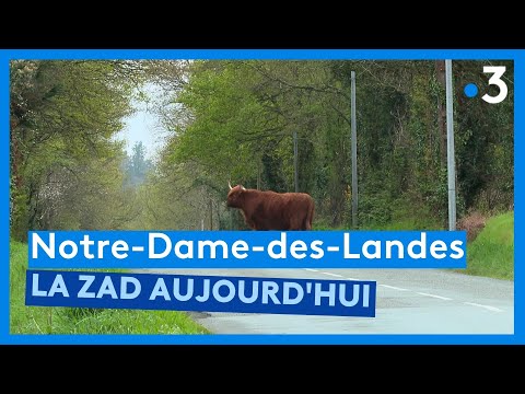 Notre-Dame-des-Landes, la ZAD 5 ans après