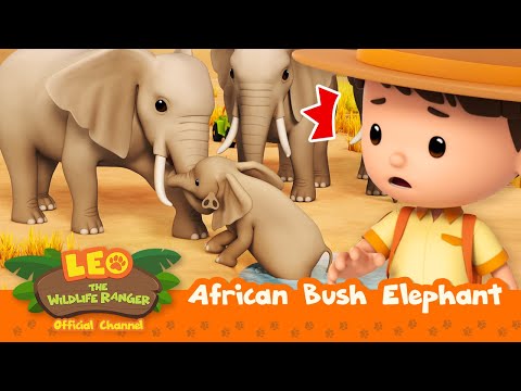 Witness21  2023 02 11