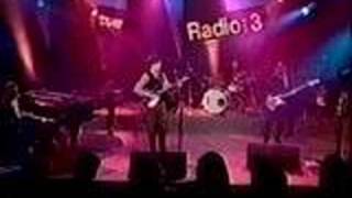 The Ladybug Transistor - Like a Summer Rain