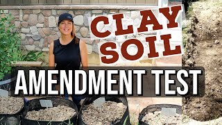 Clay Amendments Explained- Part 1