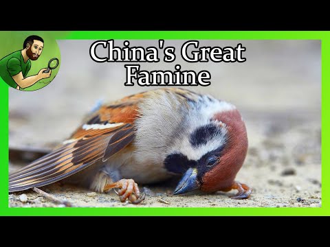 How Killing Sparrows Led to the Deaths of Over 45 Million People - China's Great Famine