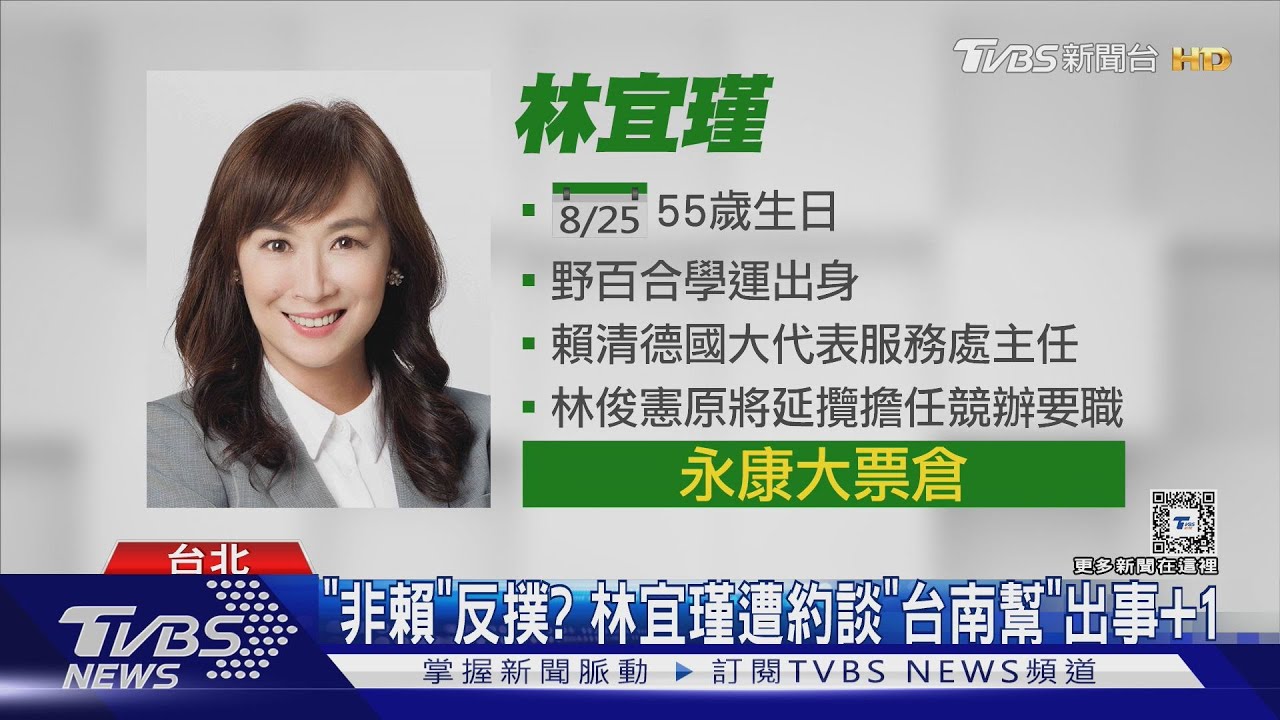 「非賴」反撲?林宜瑾遭約談「台南幫」出事+1