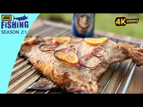 Prime Quality Fish - Catch and Cook Kingfish 5 Ways Sashimi, Tataki, Ika Mata, BBQ Wings, BBQ Skin