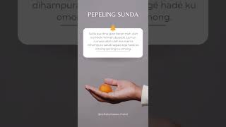 Download lagu Dina Ngajalani Kahirupan #pepeling #sunda #quotes #papatahkolot #papatahsunda #statuswhatsapp mp3