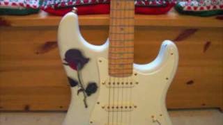 Fender Stratocaster David Clapp Signature
