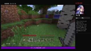 マイクラサバイバル