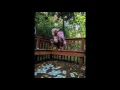 Kodak Black Jewels Official Audio