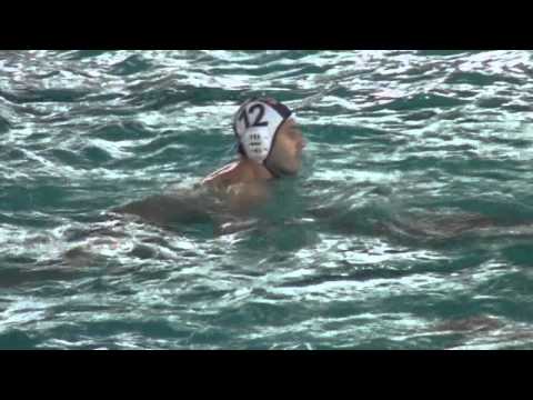 Il remix di Civitavecchia - Promogest