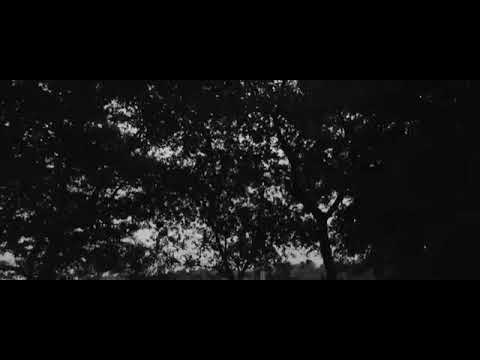 JULIEN BOSS - Grabrede (PA Sports Diss) (Reupload)