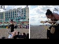 Hungry Seagulls Chase Woman On Beach