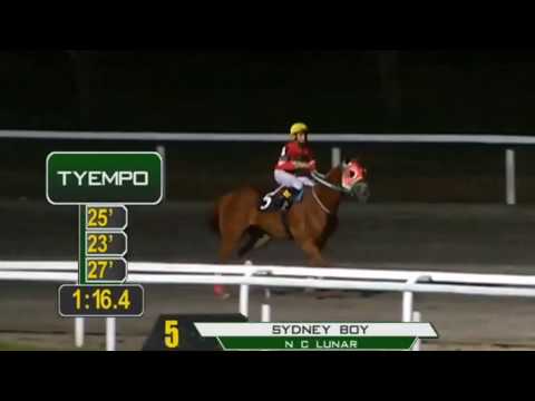 SYDNEY BOY - PRCI RACE 6 - MARCH 6, 2020 - BAYANG KARERISTA HORSE RACING AT SANTA ANA PARK