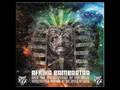 Afrika Bambaataa - Almighty Ra