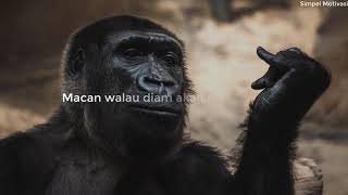 Download lagu KATA BIJAK - ORANG SOMBONG TIDAK TAHU DIRI - WHATSAPP 30 DETIK mp3