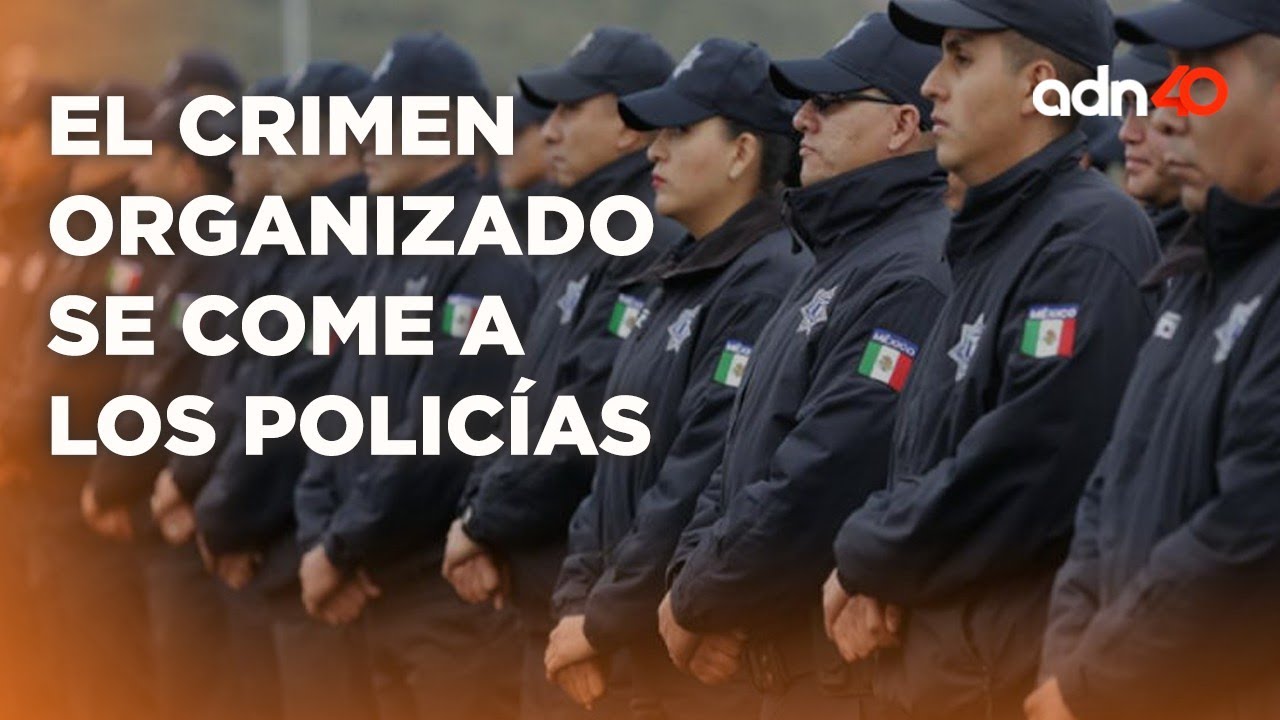 Policías asesinados en todo el país, son hormiguitas ante el crimen organizado I Todo Personal