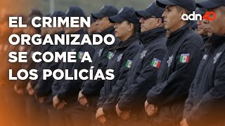 Policías asesinados en todo el país, son hormiguitas ante el crimen organizado I Todo Personal