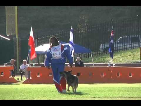 2008 WUSV World Championship T. Floyd & Karlo vom Floyd Haus, SchH3, FH, KKL2