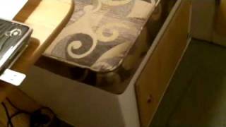 TCP I&#39;m organized...well, sort of.