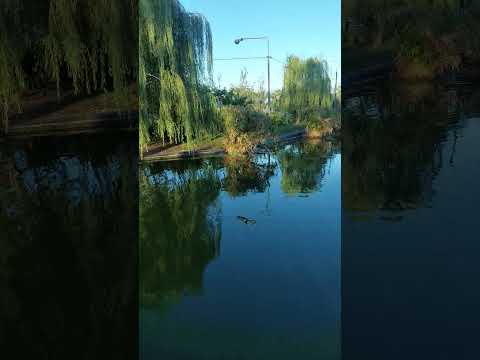 Complejo Batalla de Tucuman en Bella Vista