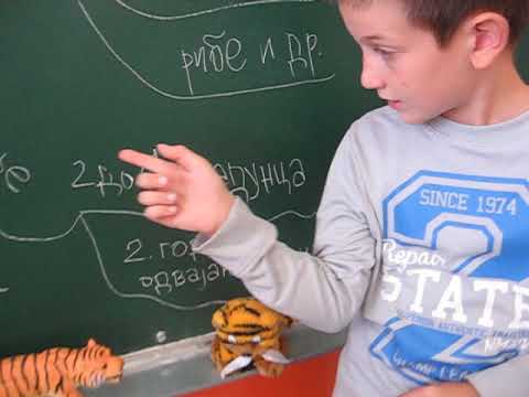 Tigar (Panthera tigris)