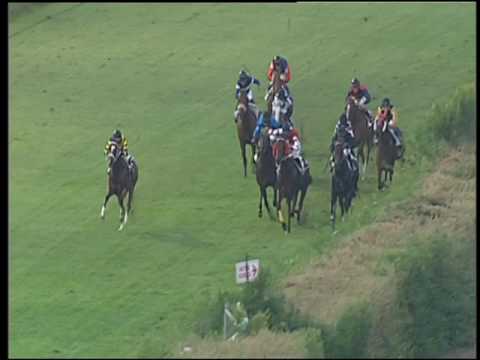 Galoppo 27/08/2016 - 4° corsa