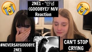 2NE1 - '안녕 (GOODBYE)' M/V Reaction | [THE TEARS WONT STOP]
