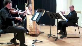 David Wechsler  - Three Movements for Flute, Viola and Harp  -  Andante