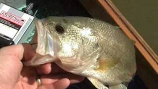 preview picture of video 'Bass Fishing Hoover Reservoir Westerville Ohio electric motor ANGLE GRINDER part 6'