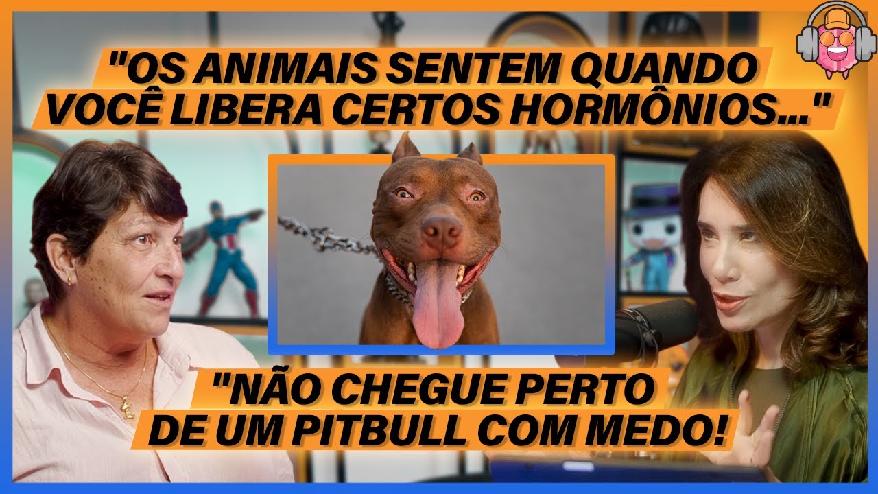 SENTIDOS & CONEXÃO com os ANIMAIS - Maria Ângela Panelli (Veterinária)