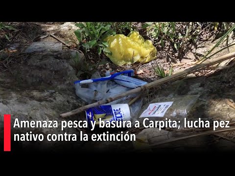 Fishing and garbage threaten carp; native fish fights extinction