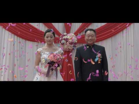 Someone to Talk to - Trailer - Stockholm International Film Festival 2016