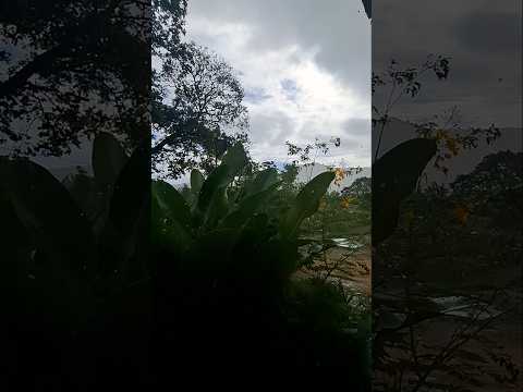 #aracoiaba #chuva #ceará #viral #mil #k #m #milhões #maciço #nordeste#2025 #lindo #céu #céusabertos