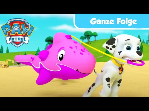 Die Fellfreunde retten ein Delfinbaby - GANZE FOLGE -  PAW Patrol Germany - Cartoons für Kinder