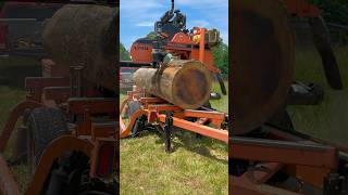 Milling massive poplar into siding #sawmill #diy #satisfying w/@logstolumbernow2011