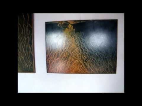 Osvračín galerie VOKNO - Záznam z vernisáže v roce 2012