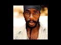 SIZZLA - MICROCHIP (WARNING)