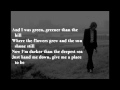 Nick Drake - Place to Be (Lyrics) 