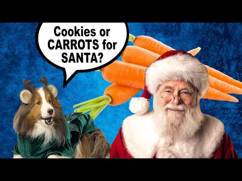 "Cookies or CARROTS 🥕 for Santa?" 🎅🏼🐶💕 a hilarious Biscuit Talky on The Cricket Chronicles e259