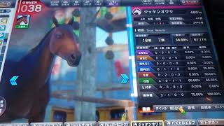 【スタホ4／スターホース4】スターホース4をやってみた《特别編》（一杯調教未出走馬素質検証：その4  最終回）〜120週フル漬け・レース未出走・トレセン使用禁止〜