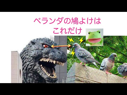 , title : 'ベランダの鳩よけはこれだけ'