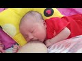 Menyusu Sang Ibu Adalah Aktifitas Bayi Yang Wajib Agar Ia Sehat Dan Berkembang Cepat 2