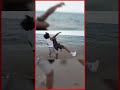 Rage Throws Silky In The Water Plaqueboymax Silky Clips Yourrage Shorts