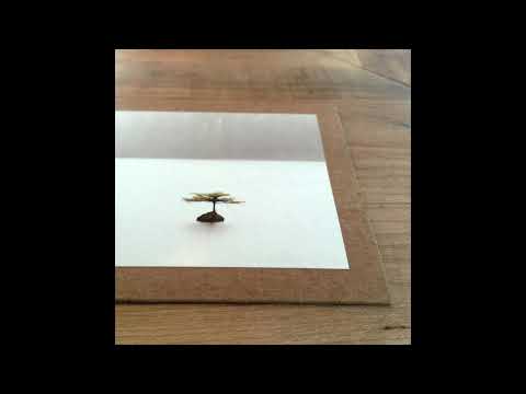 Mystica Tribe - New Beginnings