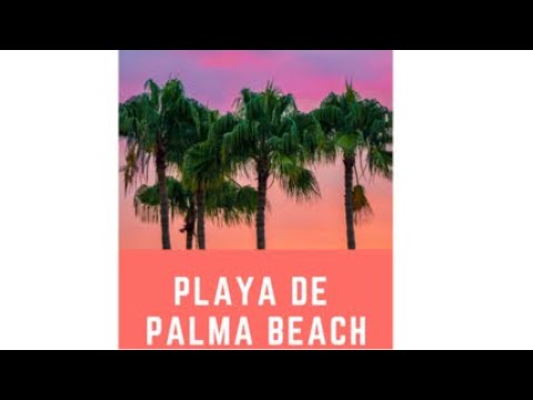 Playa de Palma beach tour