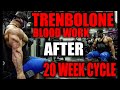 BODYBUILDER BLOOD WORK AFTER TRENBOLONE CYCLE FOR 20 WEEKS