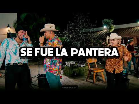 Grupo Firme - Grupo Recluta - Se Fue La Pantera - Banda La Indicada (Corridos 2022)