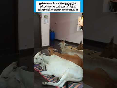 வருமானம் பார்த்தால் மட்டும் பத்தாது அவைகளையும் நன்றாக கவனிக்க வேண்டும் #shorts