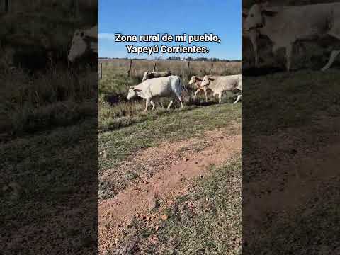 Recorriendo la zona rural de mi pueblo, Yapeyú,  Corrientes Argentina.